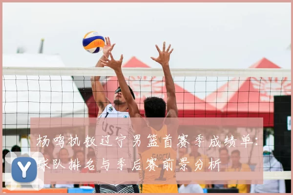 杨鸣执教辽宁男篮首赛季成绩单:球队排名与季后赛前景分析