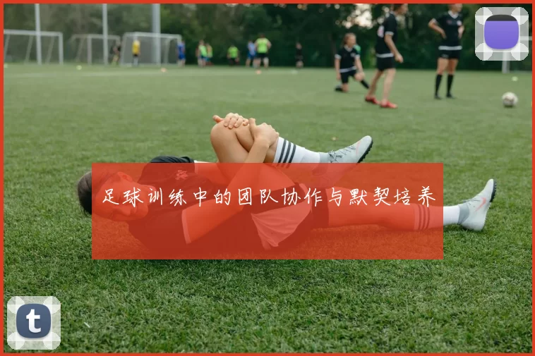 足球训练中的团队协作与默契培养