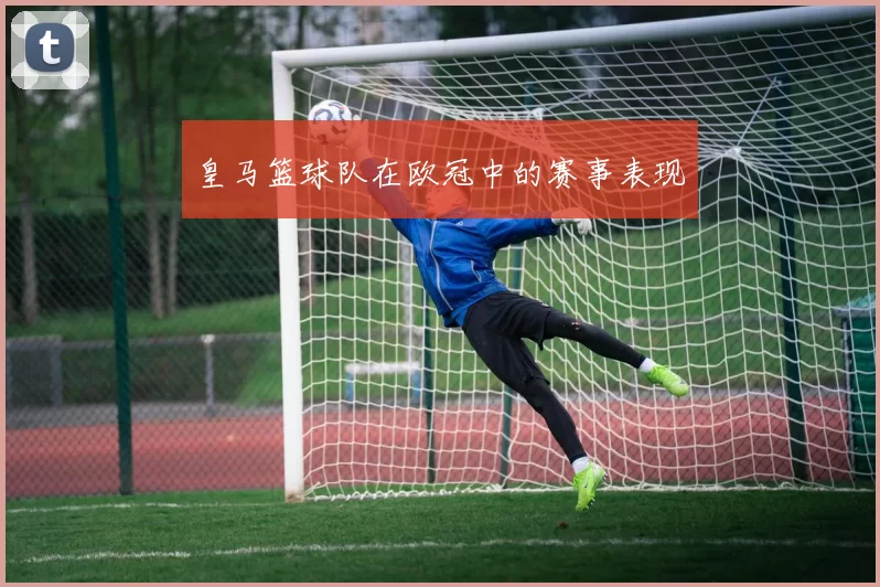 皇马篮球队在欧冠中的赛事表现