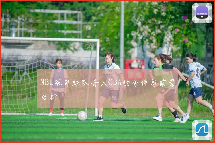 NBL冠军球队升入CBA的条件与前景分析