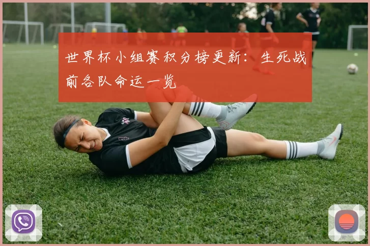 世界杯小组赛积分榜更新:生死战前各队命运一览