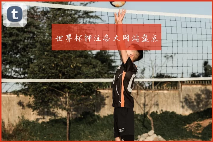 世界杯押注各大网站盘点