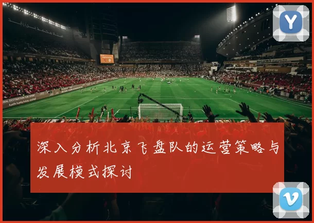 深入分析北京飞盘队的运营策略与发展模式探讨