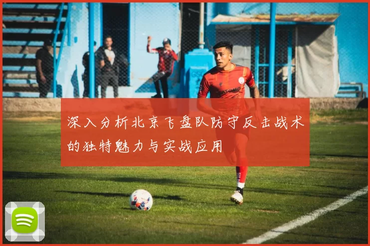 深入分析北京飞盘队防守反击战术的独特魅力与实战应用