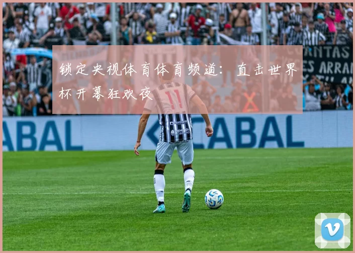 锁定央视体育体育频道：直击世界杯开幕狂欢夜