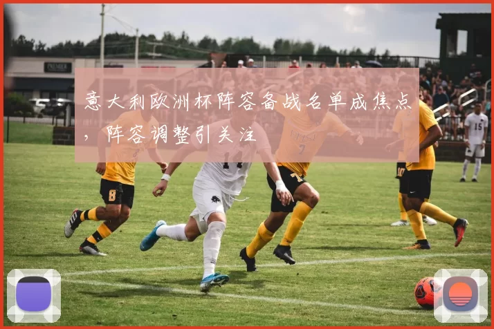 意大利欧洲杯阵容备战名单成焦点,阵容调整引关注