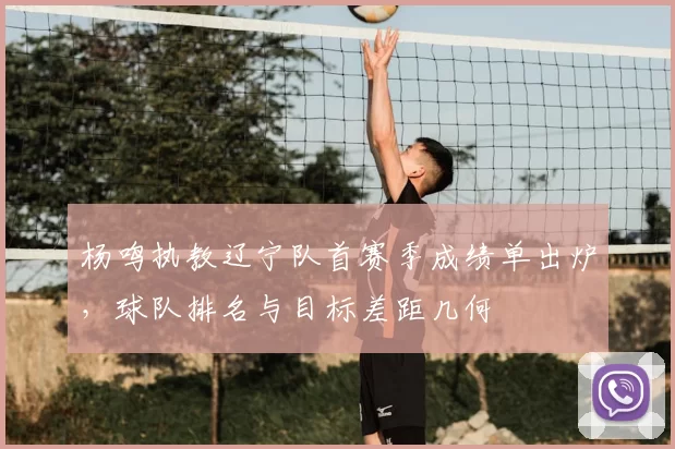 杨鸣执教辽宁队首赛季成绩单出炉，球队排名与目标差距几何