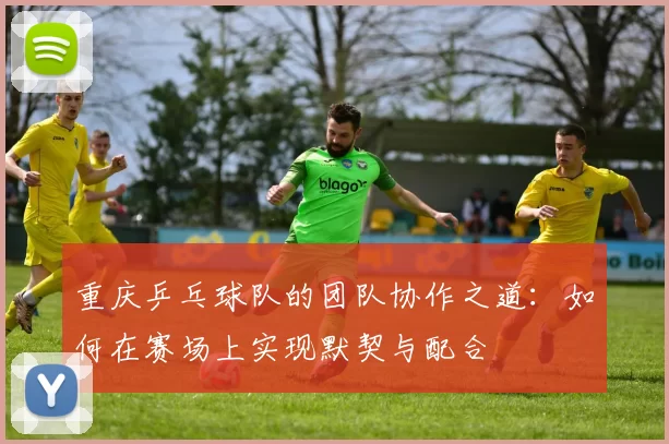 重庆乒乓球队的团队协作之道：如何在赛场上实现默契与配合