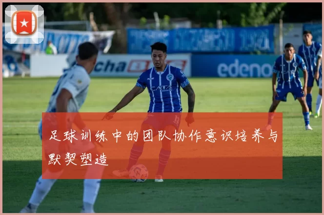 足球训练中的团队协作意识培养与默契塑造