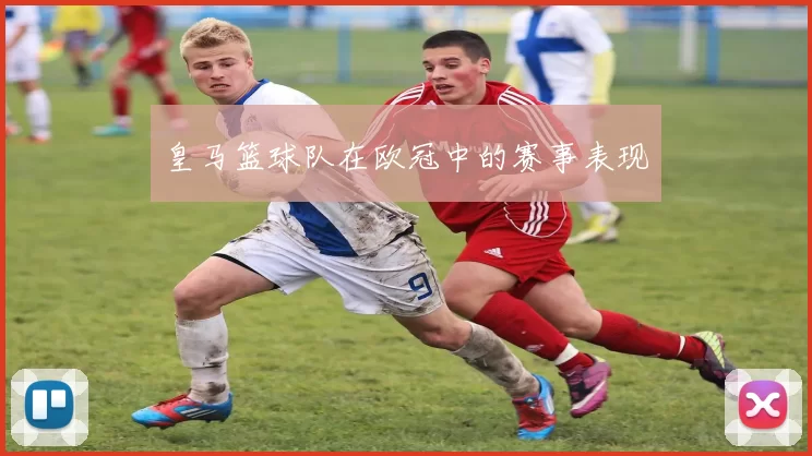 皇马篮球队在欧冠中的赛事表现
