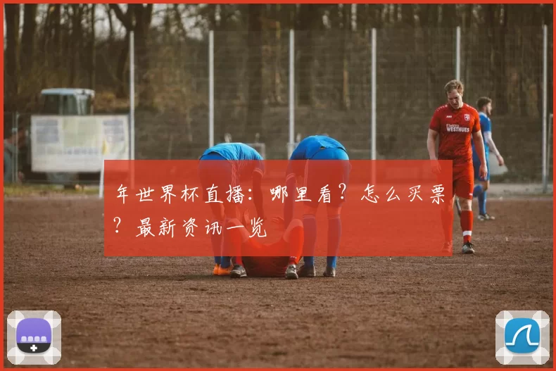 年世界杯直播：哪里看？怎么买票？最新资讯一览