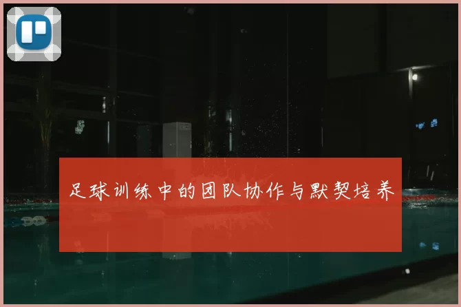 足球训练中的团队协作与默契培养
